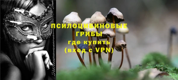 прущий лед Пересвет