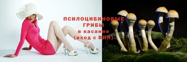 винт Осинники