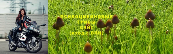 кокс Пестово