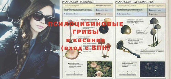 кокс Пестово