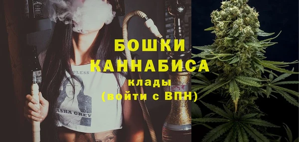 прущий лед Пересвет
