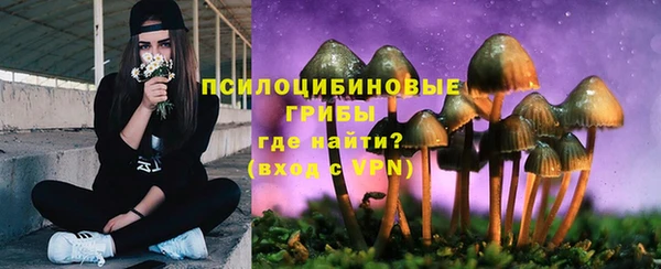 прущий лед Пересвет