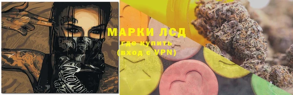 прущий лед Пересвет